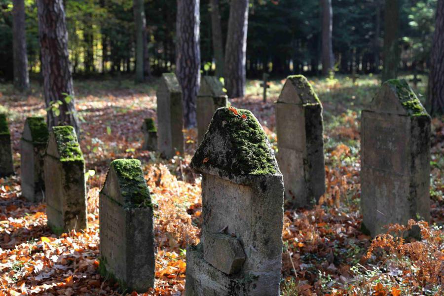 Cmentarz wojenny w Pawlikowicach